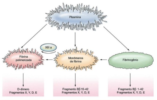 HEMOSTASIA TERCIÁRIA E FIBRINÓLISE