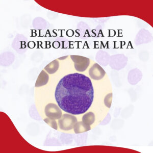 BLASTOS ASA DE BORBOLETA EM LPA