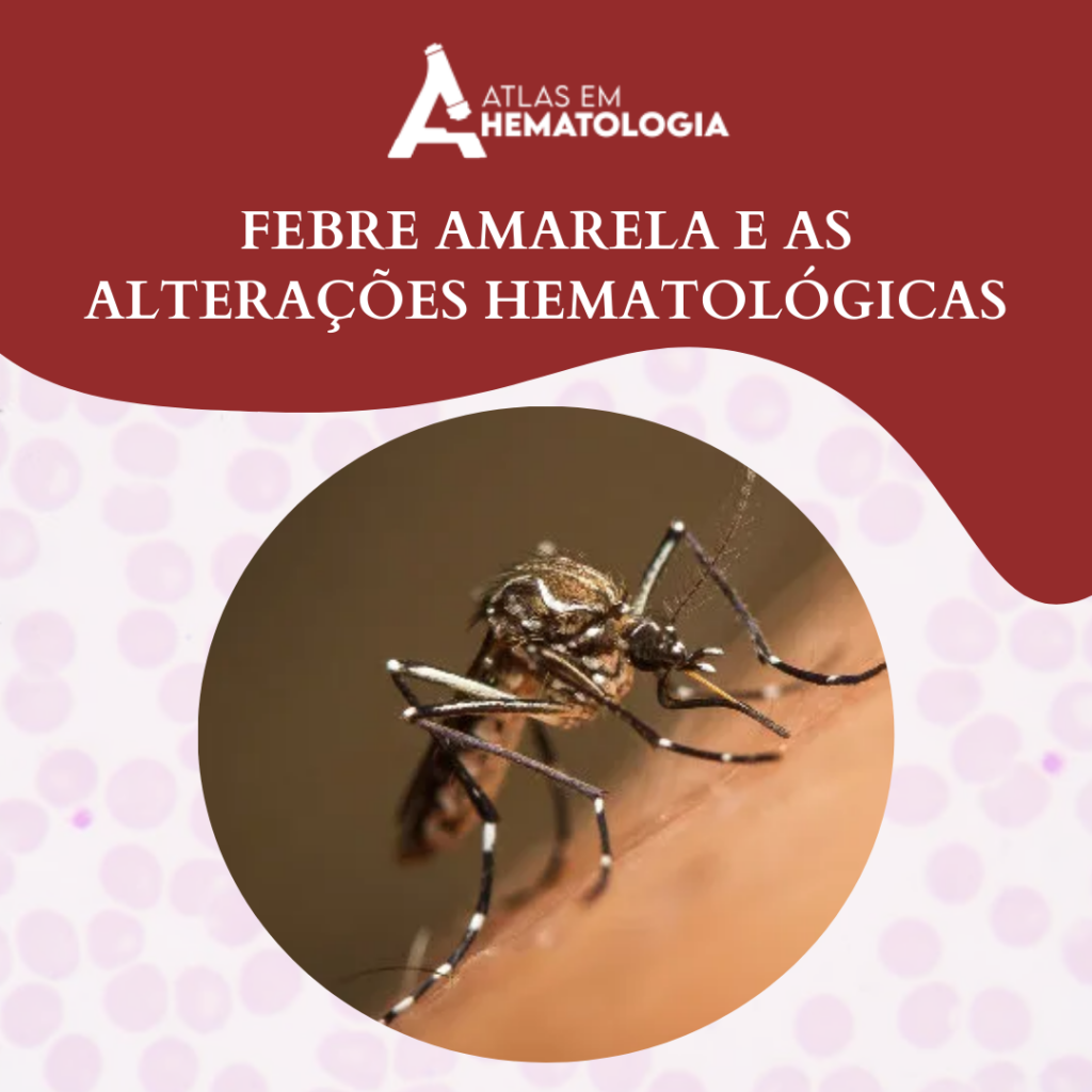 Febre amarela e as alterações hematológicas: O que você precisa saber